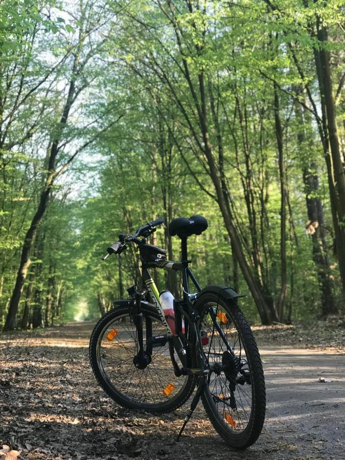 "Casa20200" 2 X Apartments Je 150Qm Fuer Business, Familien, Gruppen, Handwerker 15Min Von Berlin, Erdbeerhof, Outlet B5, 5Min Vom See Falkensee !! 2 Apartment Each 150Qm For Business , Families 15Min From Berlin!! ภายนอก รูปภาพ